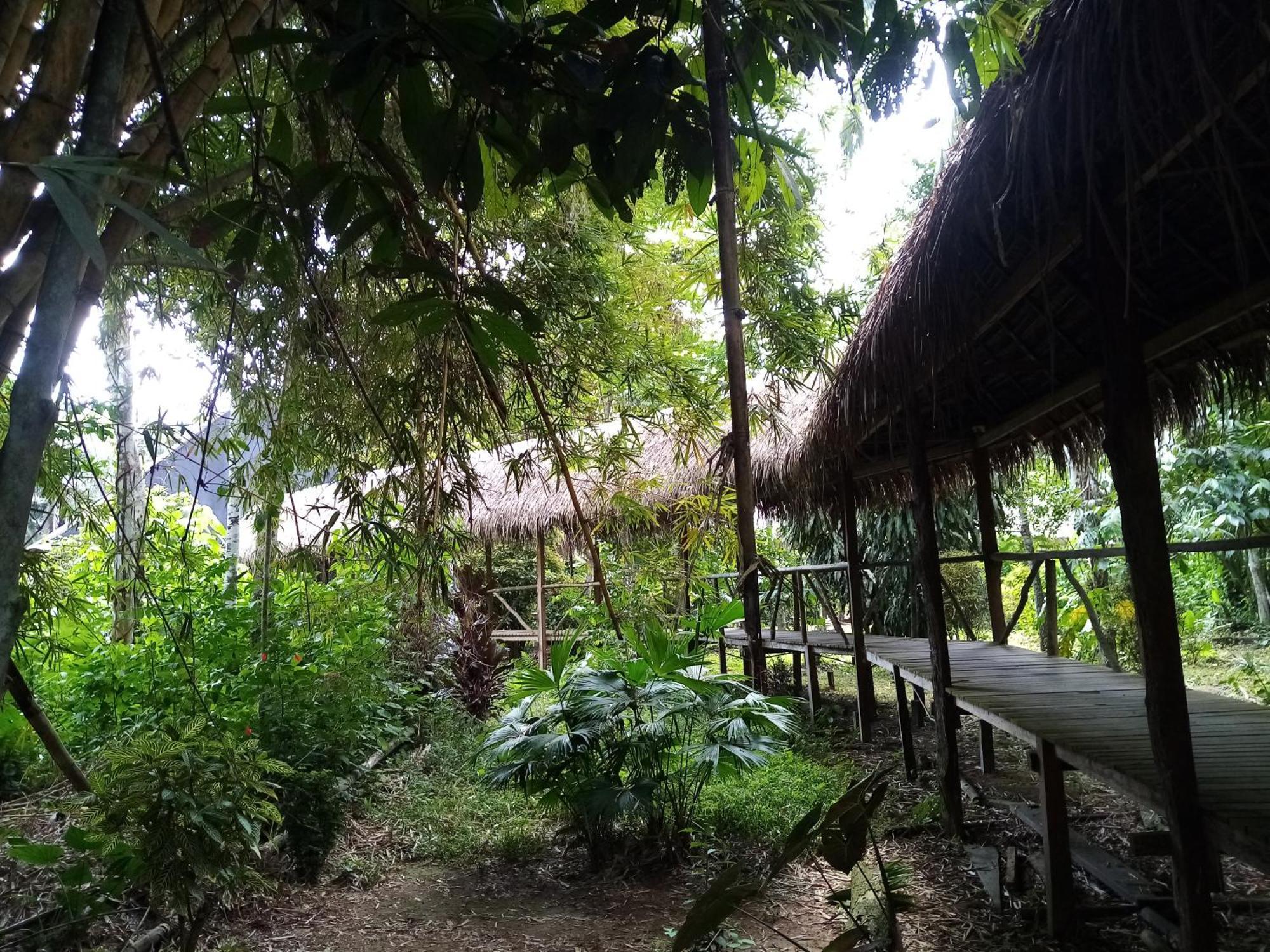 Inotawa Lodge Tambopata ภายนอก รูปภาพ